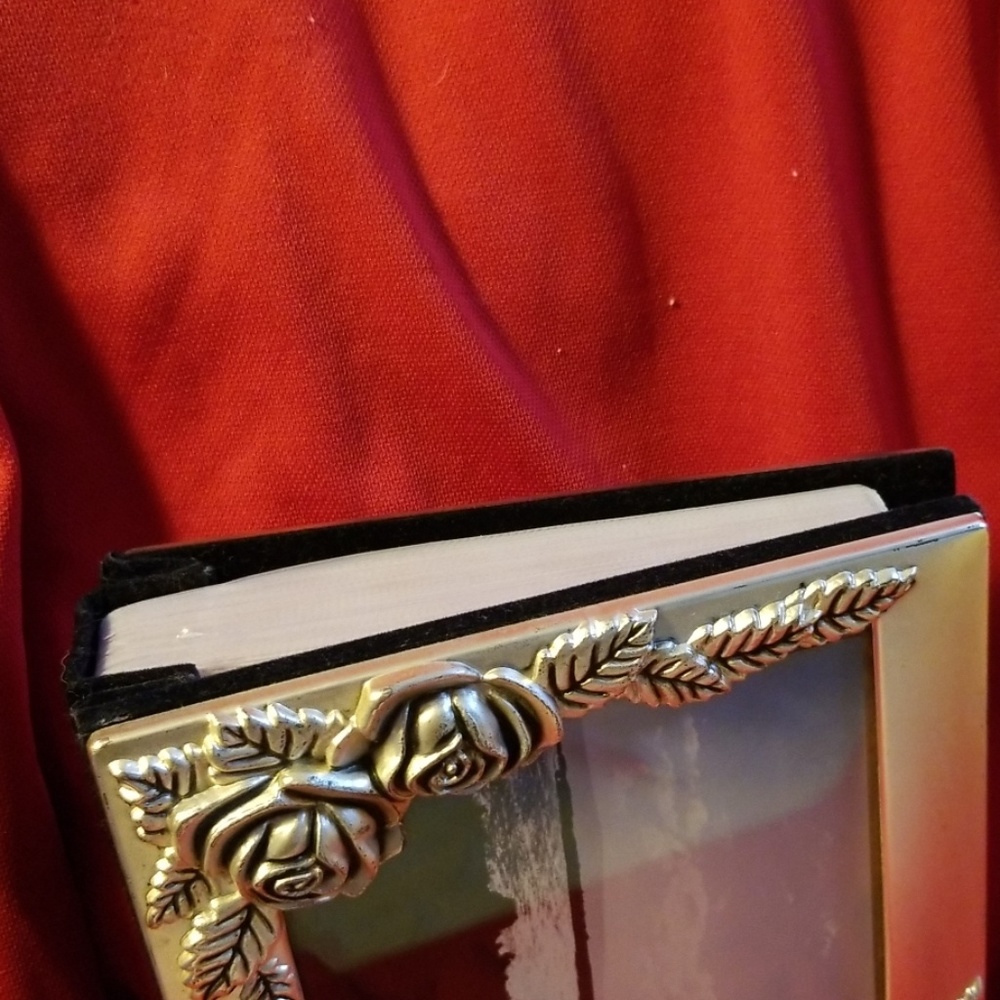Silver Picture Album - Picture 3 of 4